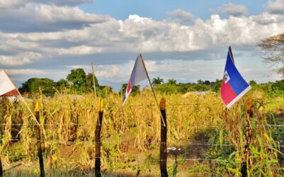 Education financière et résilience en Haïti