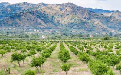 Lancio ufficiale del progetto ERPAD
