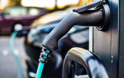 inFUELencer: formazione sulla transizione verde per i distributori di carburante